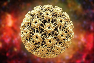 Humani papiloma virus zastita. HPV - Wikipedia, Humani papiloma virus zastita